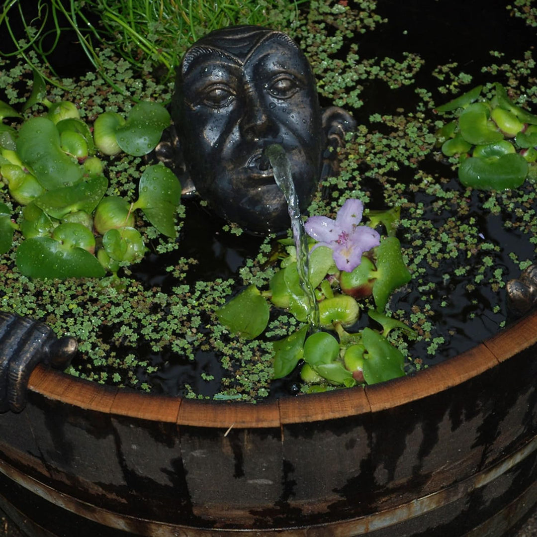 Wasserspeier Gargoyle für Miniteich mit Pumpe 230 Volt braun - Gold als Wasserspiel für die Gartende