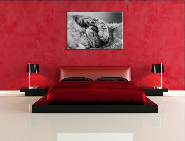 niedliche Katze beim schlafen schwarz/weiss Format: 100x70 auf Leinwand, XXL riesige Bilder fertig g