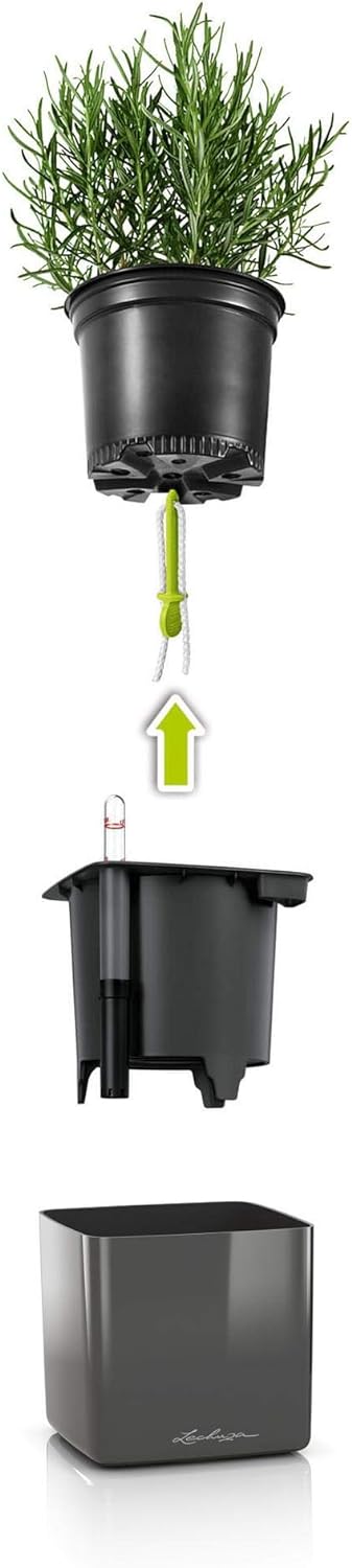 LECHUZA CUBE Glossy Green Wall Home Kit anthrazit highgloss 13524 48x14x10 cm Anthrazit Highgloss, 4