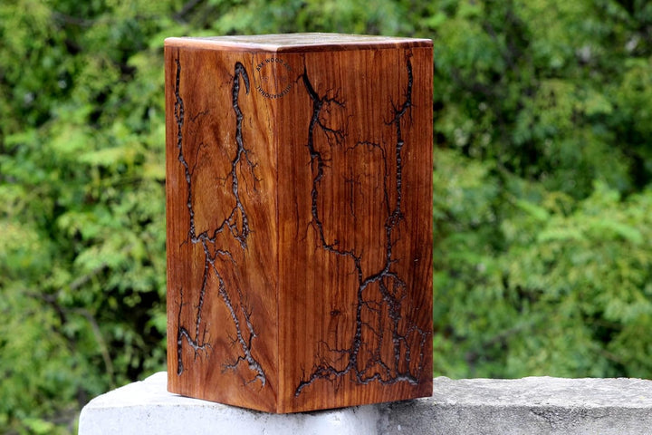 Lichtenberg Figur Urne für menschliche Asche Erwachsene Handarbeit Schöne Holzurne Home Dekorable Sa
