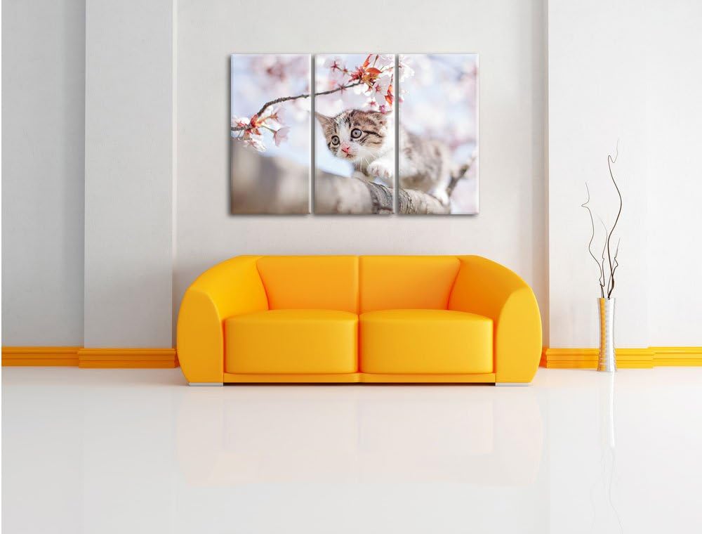 Pixxprint Süsses Kätzchen im Kirschbaum als Leinwandbild/Grösse: 3 Teilig (120x80) / Wandbild/Kunstd