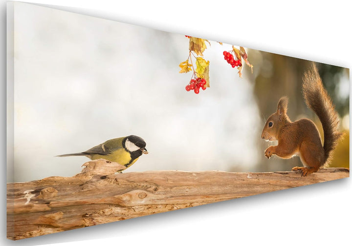 Feeby. Leinwandbild, Bilder, Wand Bild, Wandbilder, Kunstdruck 90x30 cm, EICHHÖRNCHEN, NATUR, BRAUN,