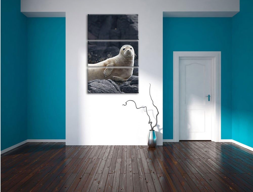 Pixxprint Robbe entspannt auf Felsen als Leinwandbild/Grösse: 3 Teilig (120x80) cm/Wandbild/Kunstdru