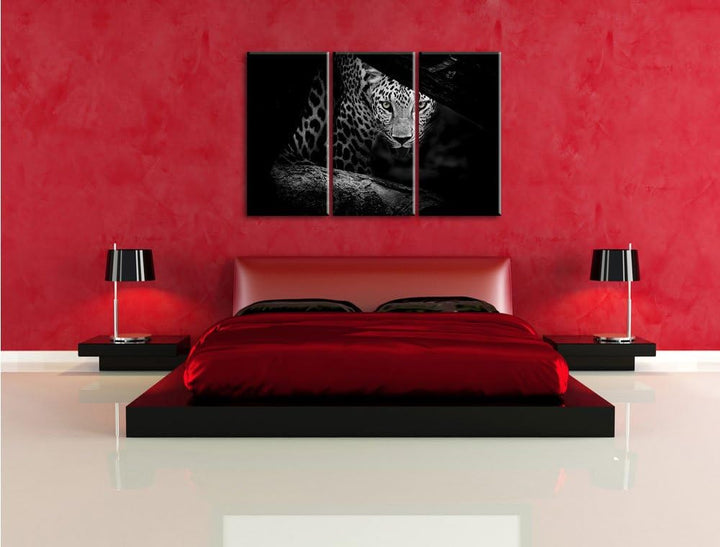 Pixxprint Neugieriger Gepard als Leinwandbild/Grösse: 3 Teilig (120x80) cm/Wandbild/Kunstdruck/ferti