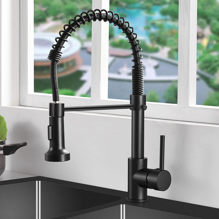 AIMADI Wasserhahn Küche, Küchenarmatur Ausziehbar mit 2 Strahlarten: Gesprüht & Strahl, Einhebelmisc