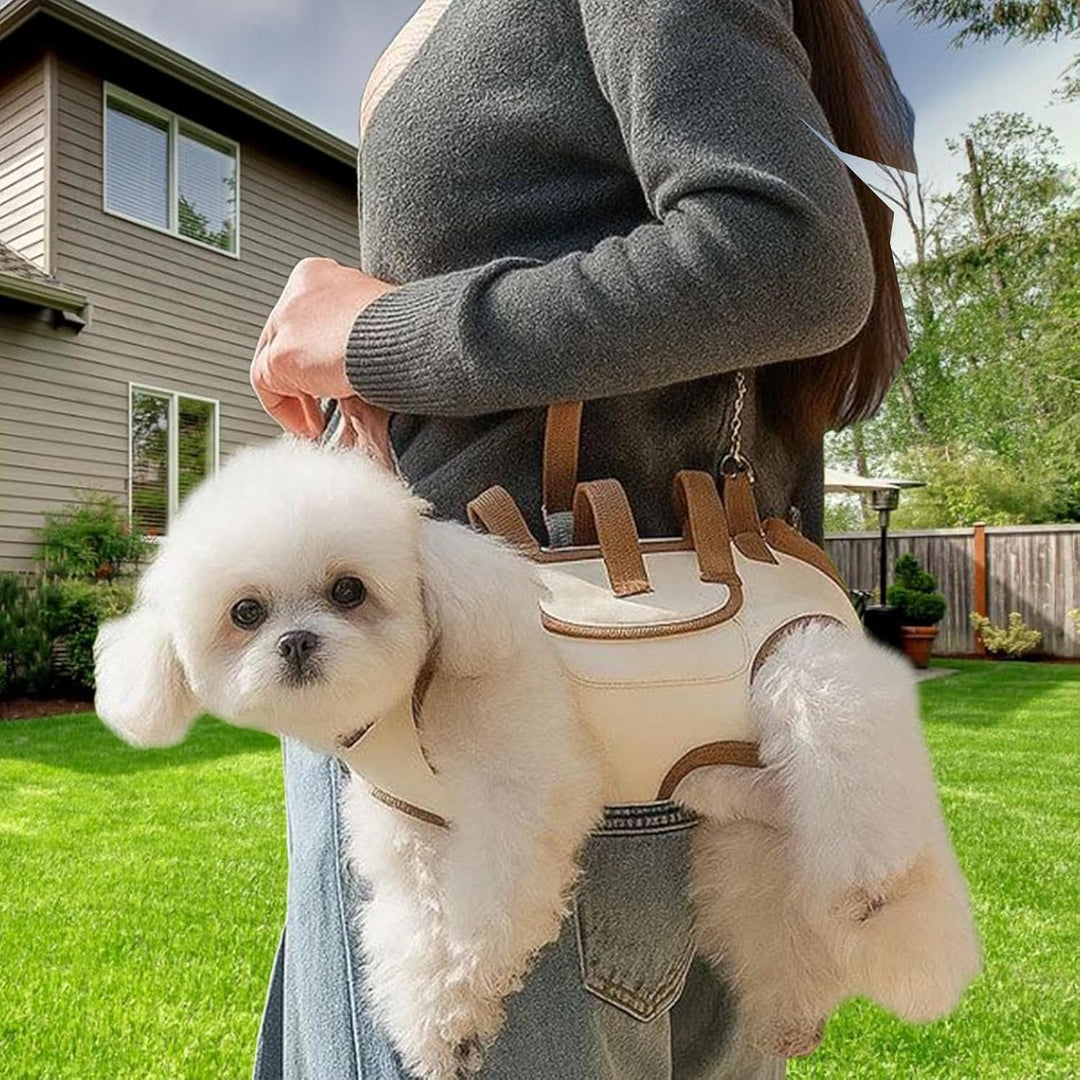 Hund Rucksack | Hunderucksack mit Einer Snacktasche,Tragbarer Haustiertragebeutel Verstellbarer Ausf
