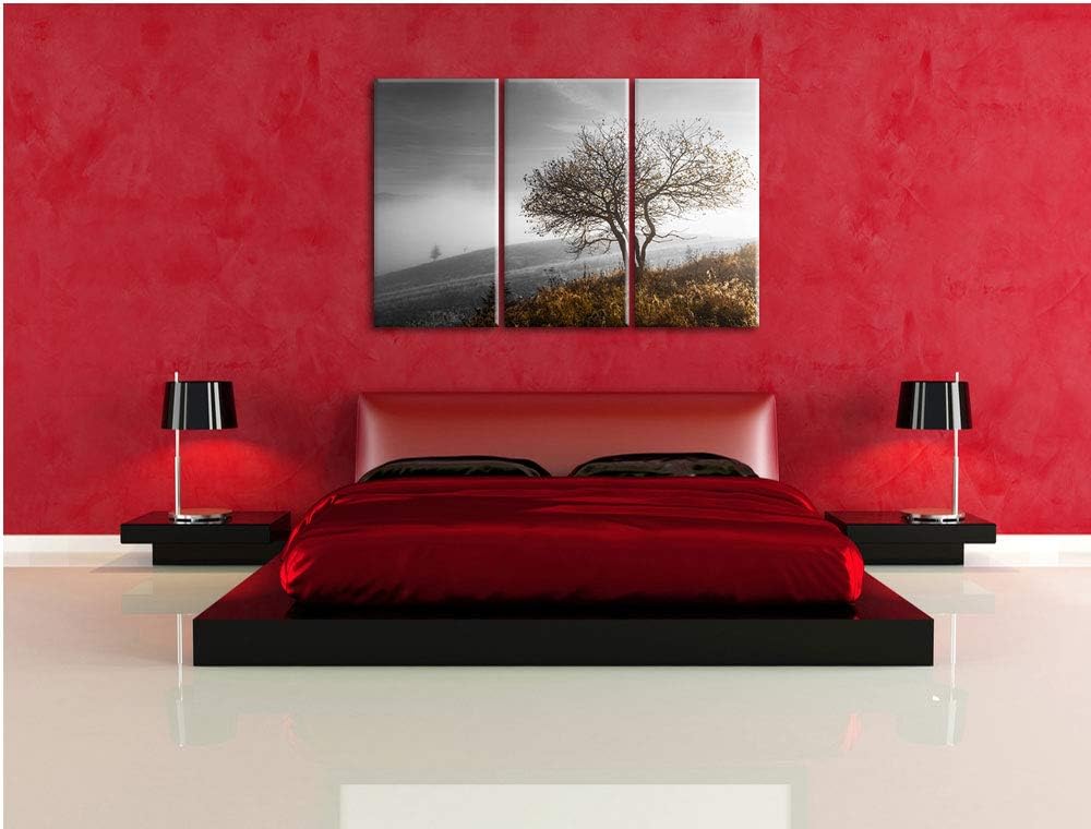 Einsamer Baum auf Berg schwarz/weiss 3-Teiler Leinwandbild 120x80 Bild auf Leinwand, XXL riesige Bil