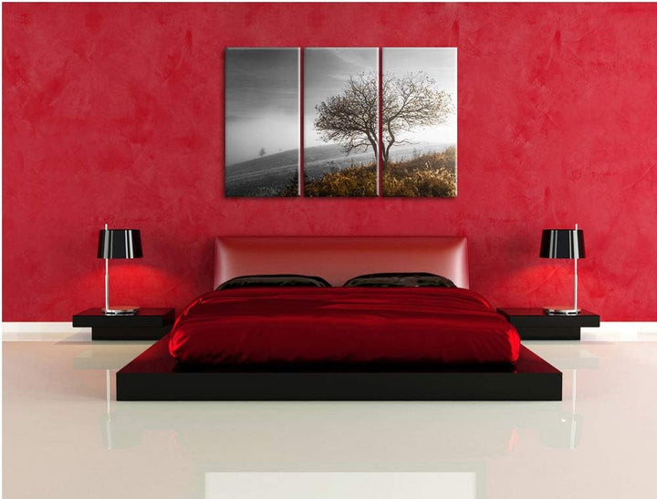 Einsamer Baum auf Berg schwarz/weiss 3-Teiler Leinwandbild 120x80 Bild auf Leinwand, XXL riesige Bil