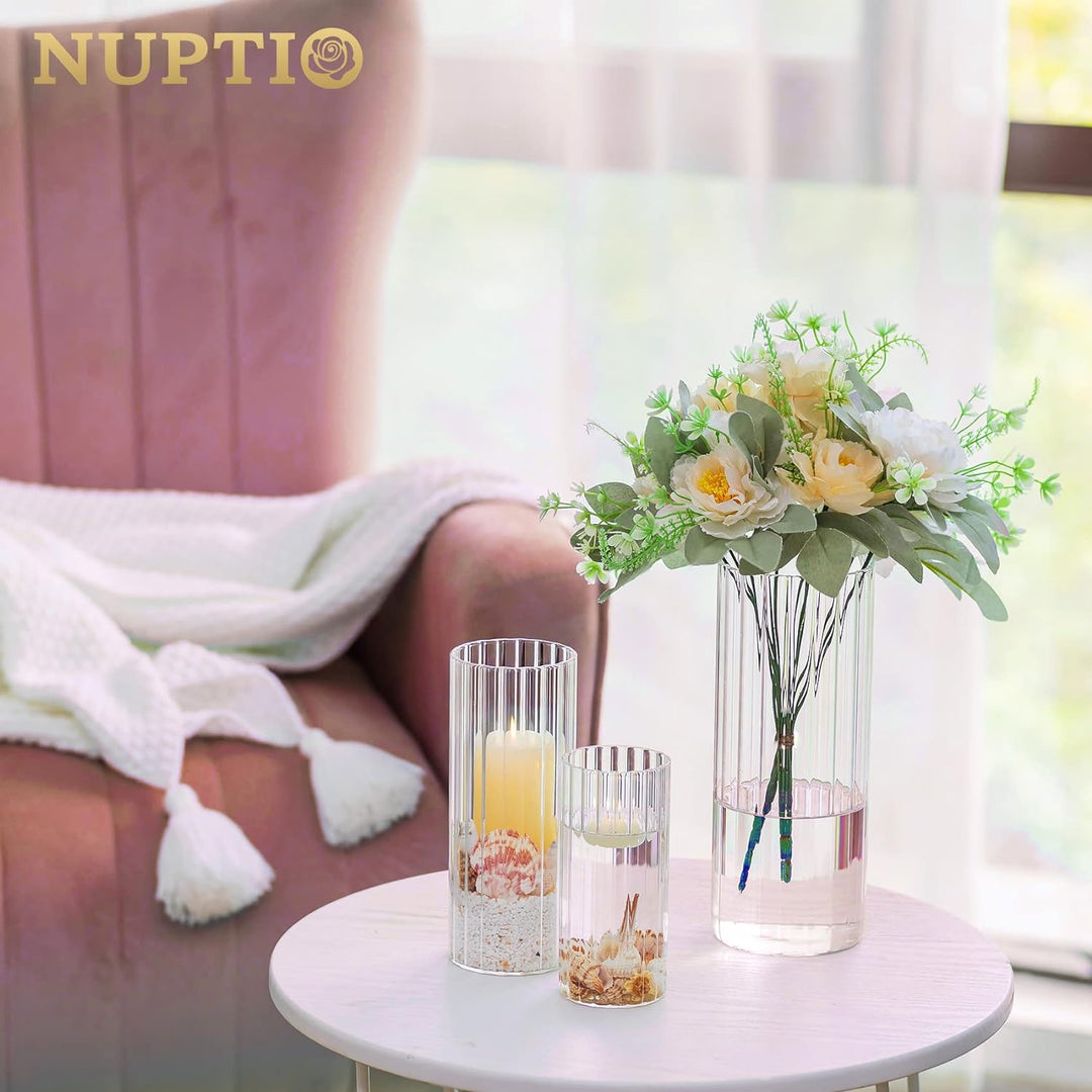 Nuptio Glasvase für Blumen Zylinder: 6 Stück Klare Blumenvasen für Hochzeit Tafelaufsätze Hurrikan-k