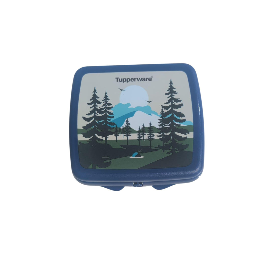 Tupperware Sandwich-Box Aufbewahrungsbox Brotdose quadratisch Sandwichbox Brotdose Twin blau mit Wal