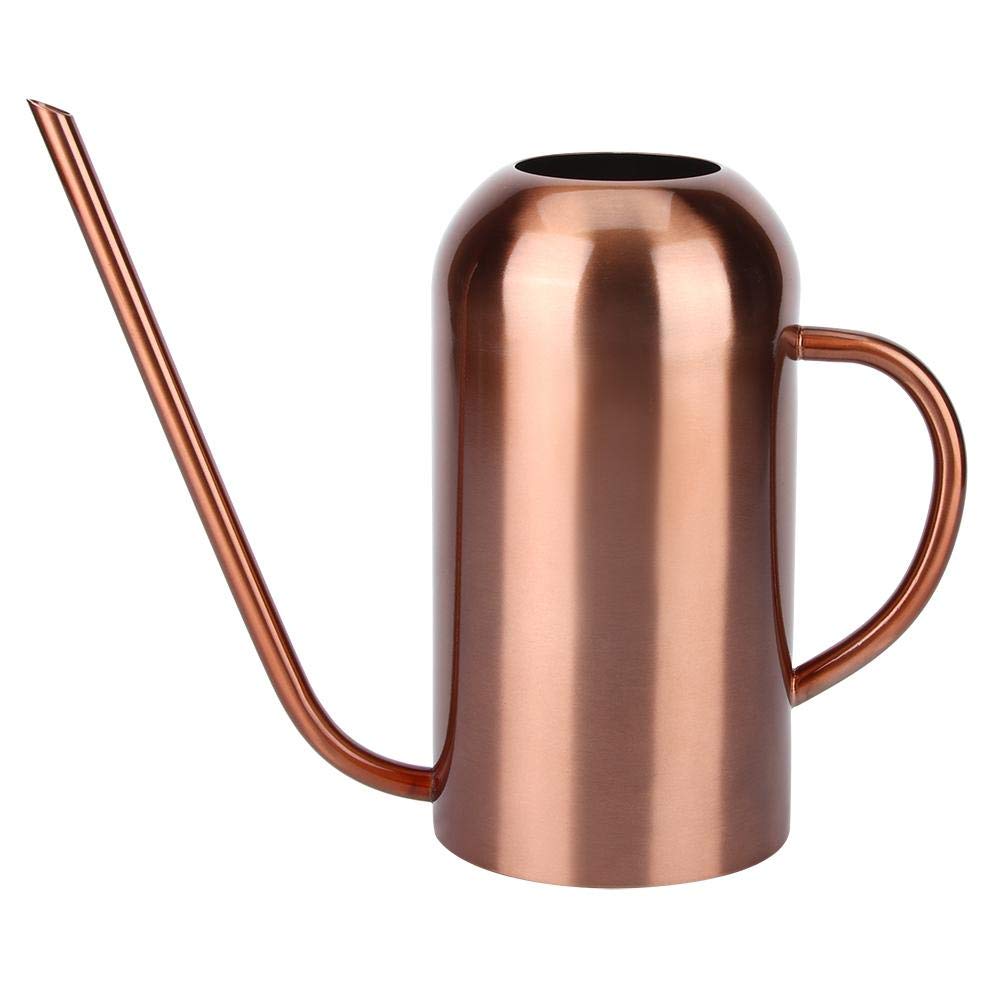 1.5l Edelstahl giesskanne Indoor für Kinder Haus Schreibtisch büro Pflanzen Bonsai streuen Topf Lang