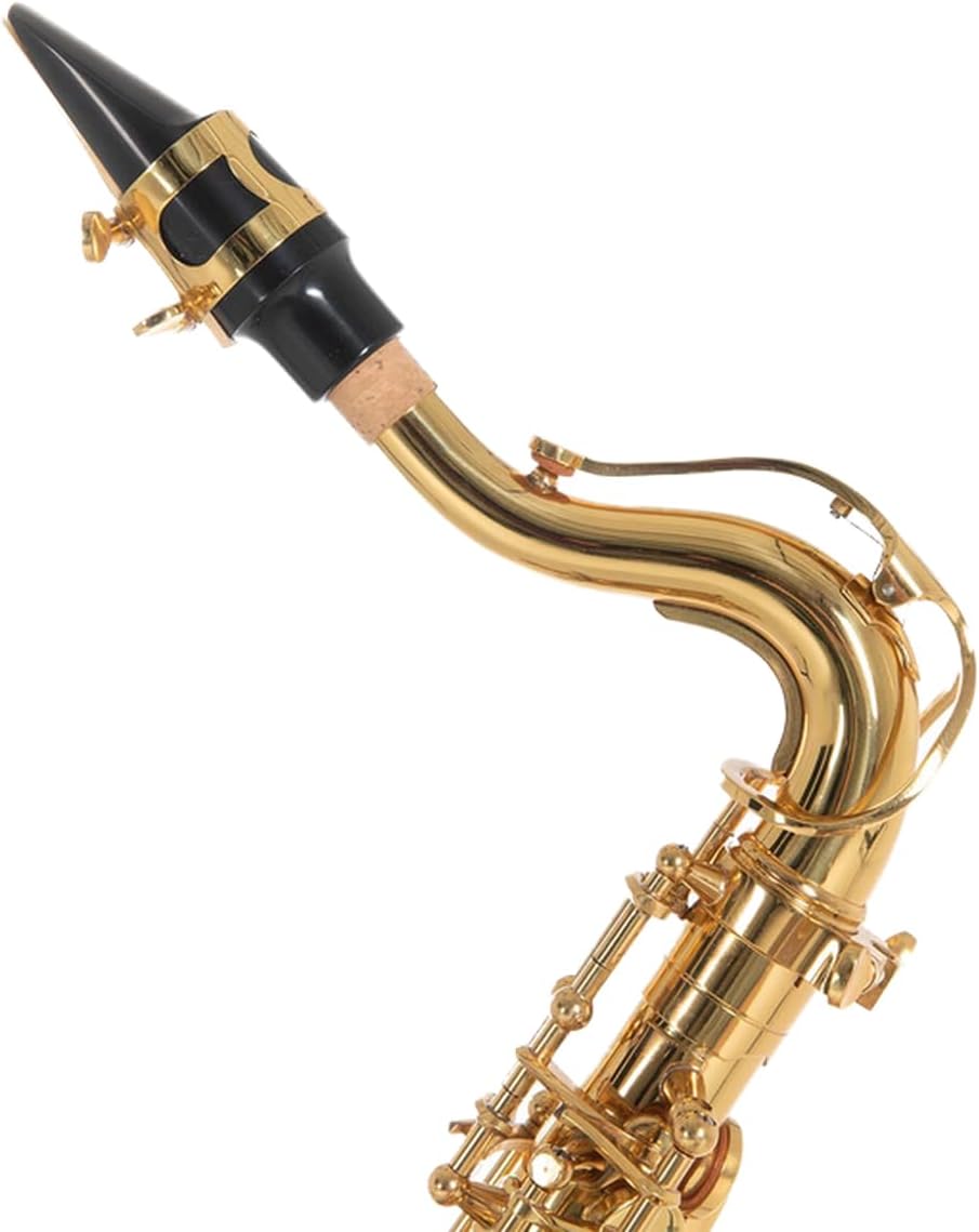 Roy Benson Kinder Eb-Alt Saxophon MOD.AS-201 lackiert, inkl. leichtem Rechtecketui, AS-201