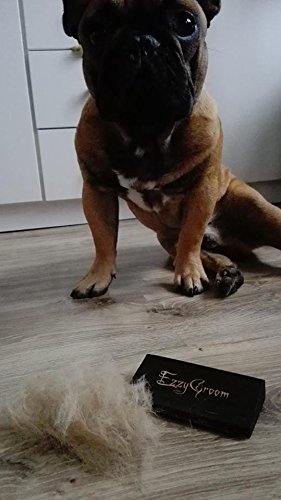 EzzyGroom Hundbürste Ezzy Katzenbürste Fellbürste Hit Fellpflege Hundekamm