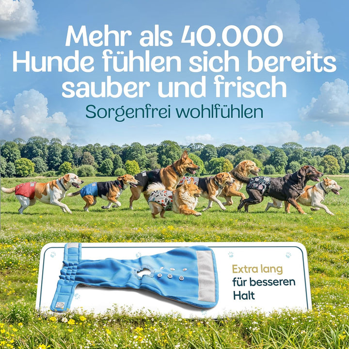 HUND IST KÖNIG Hundewindeln für Hündinnen (3 Stück) - Hochabsorbierende Läufigkeitshose für Hündinne
