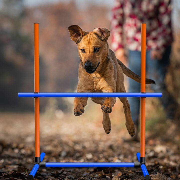 Agility-Trainingsset für Hunde, Hindernisset mit Slalomstangen, Hundesport-Ausrüstung, für Grosse un