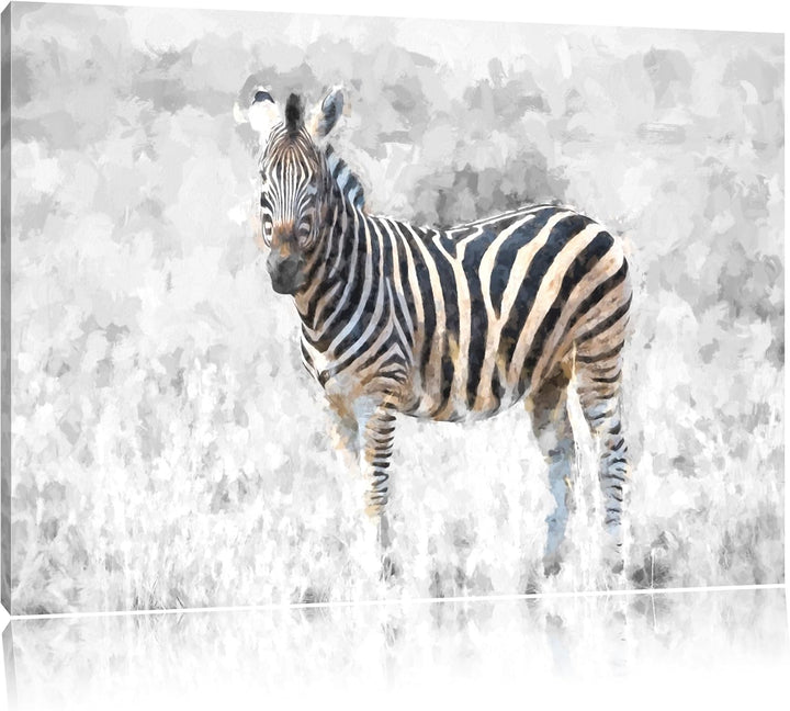 einzelnes Zebra im Wildgras schwarz/weiss Deluxe Format: 100x70 cm auf Leinwand, XXL riesige Bilder