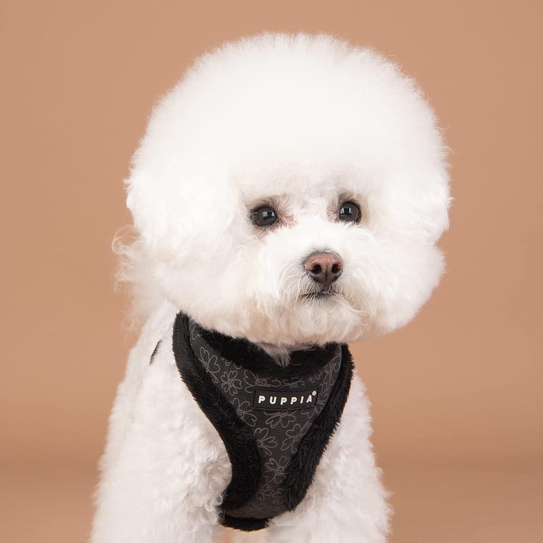 Puppia Hundegeschirr für kleine und mittelgrosse Hunde - Hepatica Harness A - verstellbar und komfor