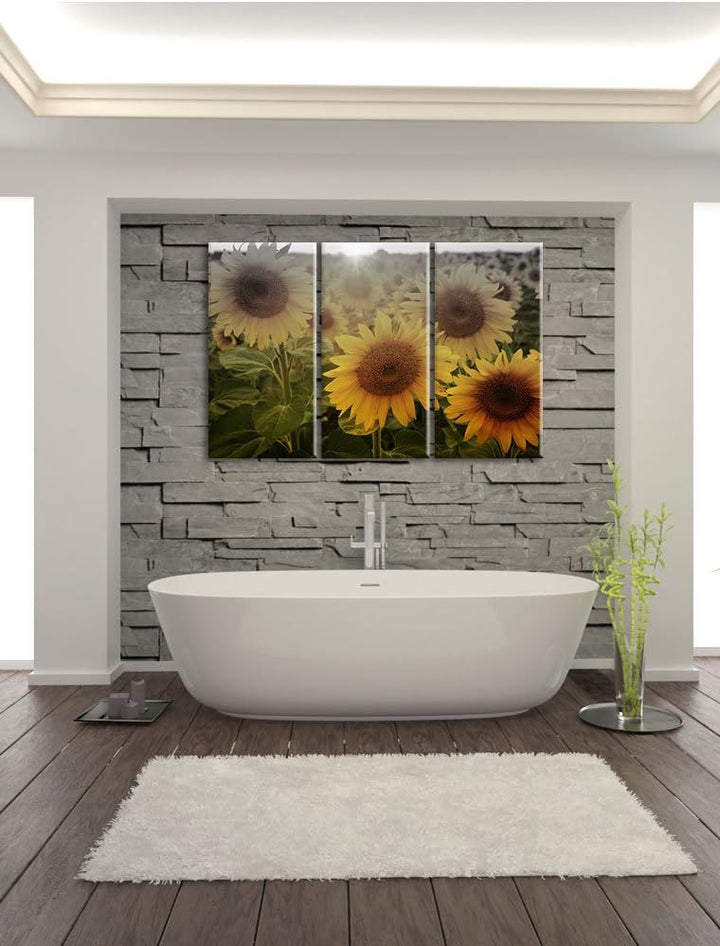 Pixxprint Sonnenblumen auf dem Feld als Leinwandbild/Grösse: 3 Teilig (120x80) cm/Wandbild/Kunstdruc