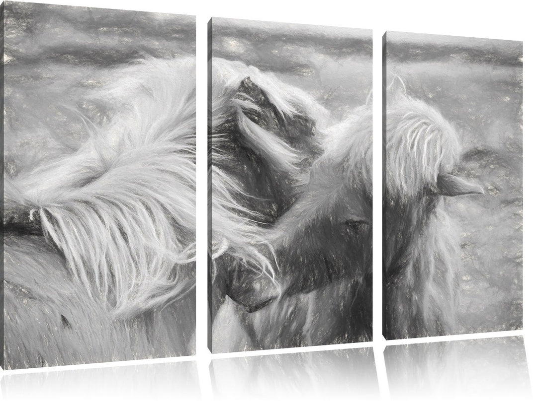 Pixxprint Islandpferde Pony Kunst / 3-Teilig/Gesamtmass 120cm Leinwandbild bespannt auf Holzrahmen/W
