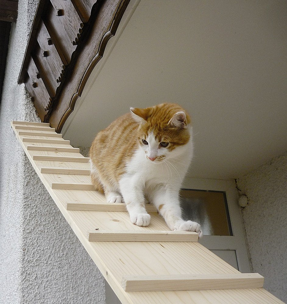 Elmato 13016 Katzentreppe 1 – 4 Meter erweiterbar (2 Meter mit 1 Verbindungsstück) ye