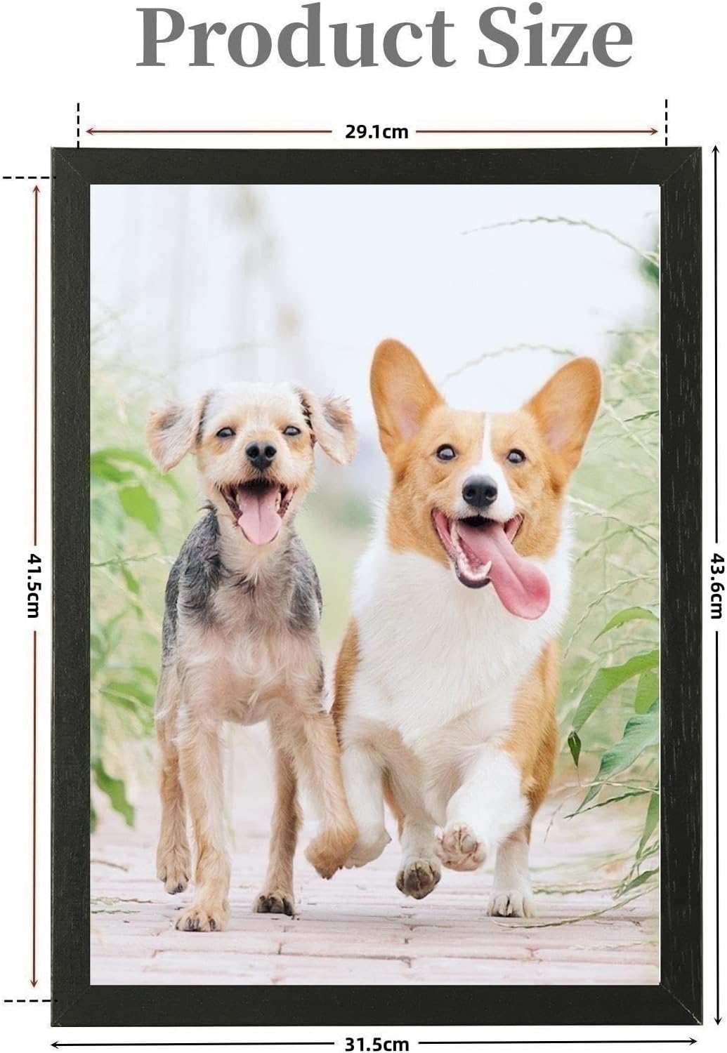 Weikani A3 Fotorahmen mit Matte, 2 Pack-29.7x42cm schwarzer Bilderrahmen Plexi-Glas, Zertifikatsrahm