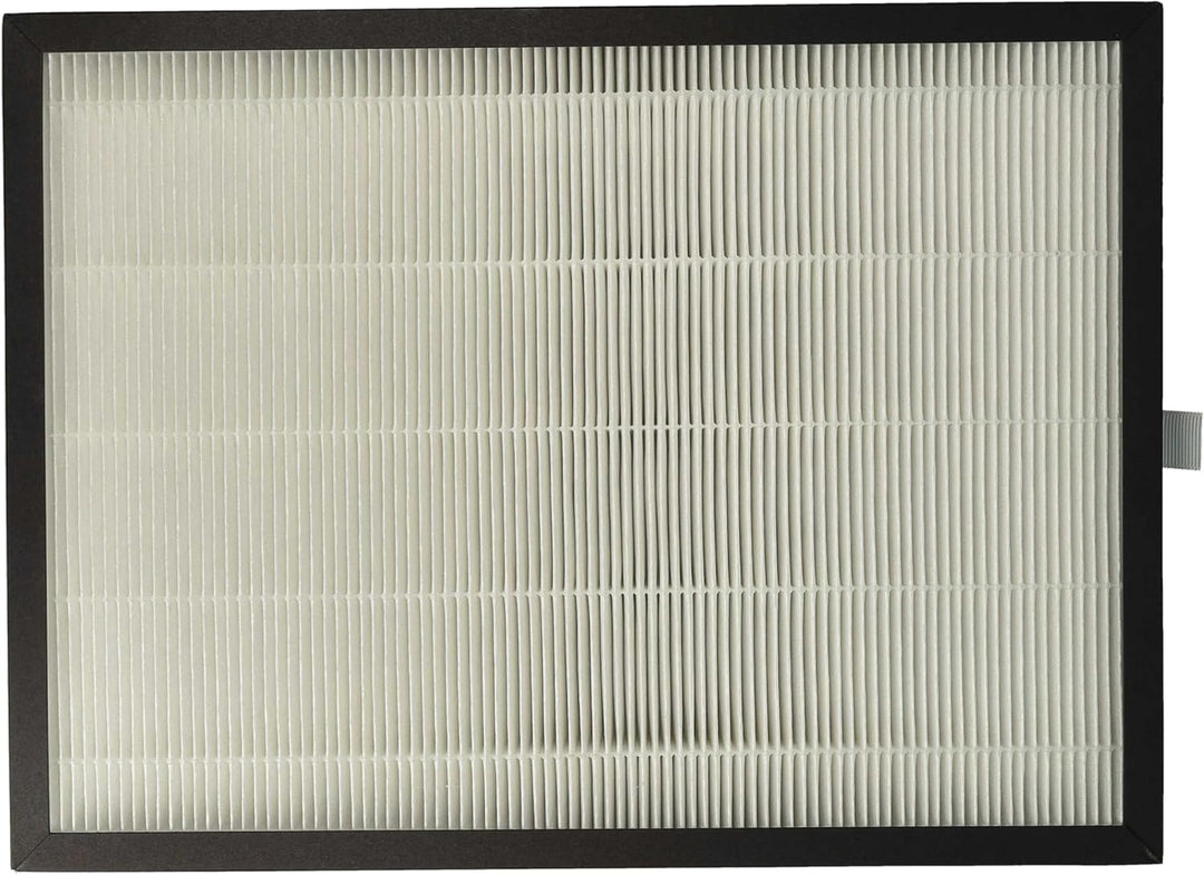vhbw 2x Luftilter kompatibel mit Rowenta Pure Air Genius PU3080, Genius PU3080F0 Luftreiniger - Komb