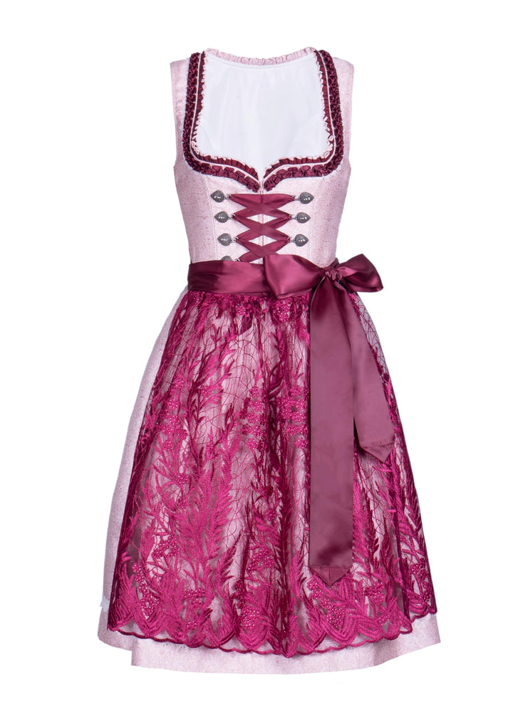 Dirndlwelle Dirndl Damen,Dirndl Schuhe Damen Elegante Kleid für Besondere Anlässe Trachtenkleid Dame