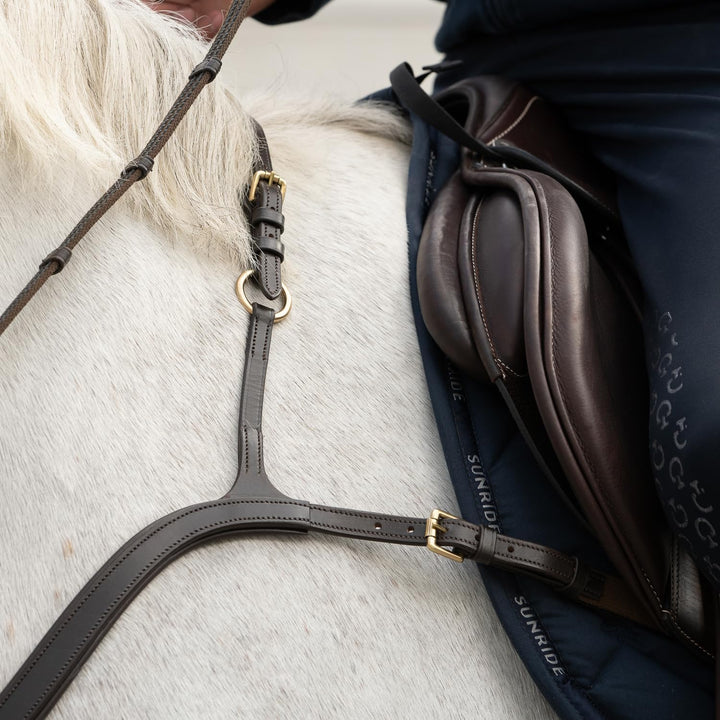 SUNRIDE Vorderzeug Ascot aus Echtleder mit Martingal - für Pferde - als 5-Punkt und 3-Punkt nutzbar
