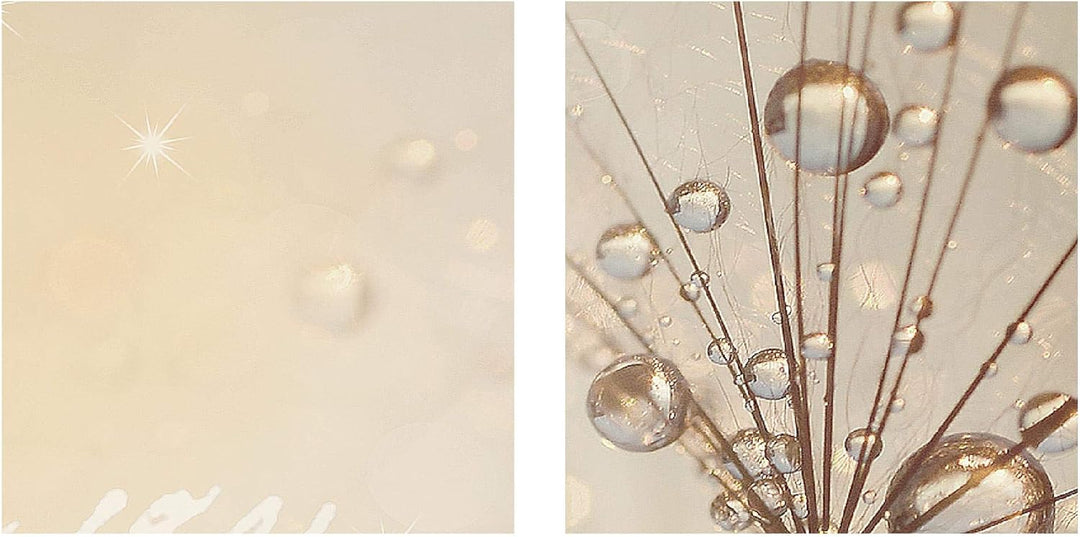 Runa Art Bild Wohnzimmer Schlafzimmer Pusteblume 5 Teilig Gräser Beige Braun Wandbilder auf Vlies Le