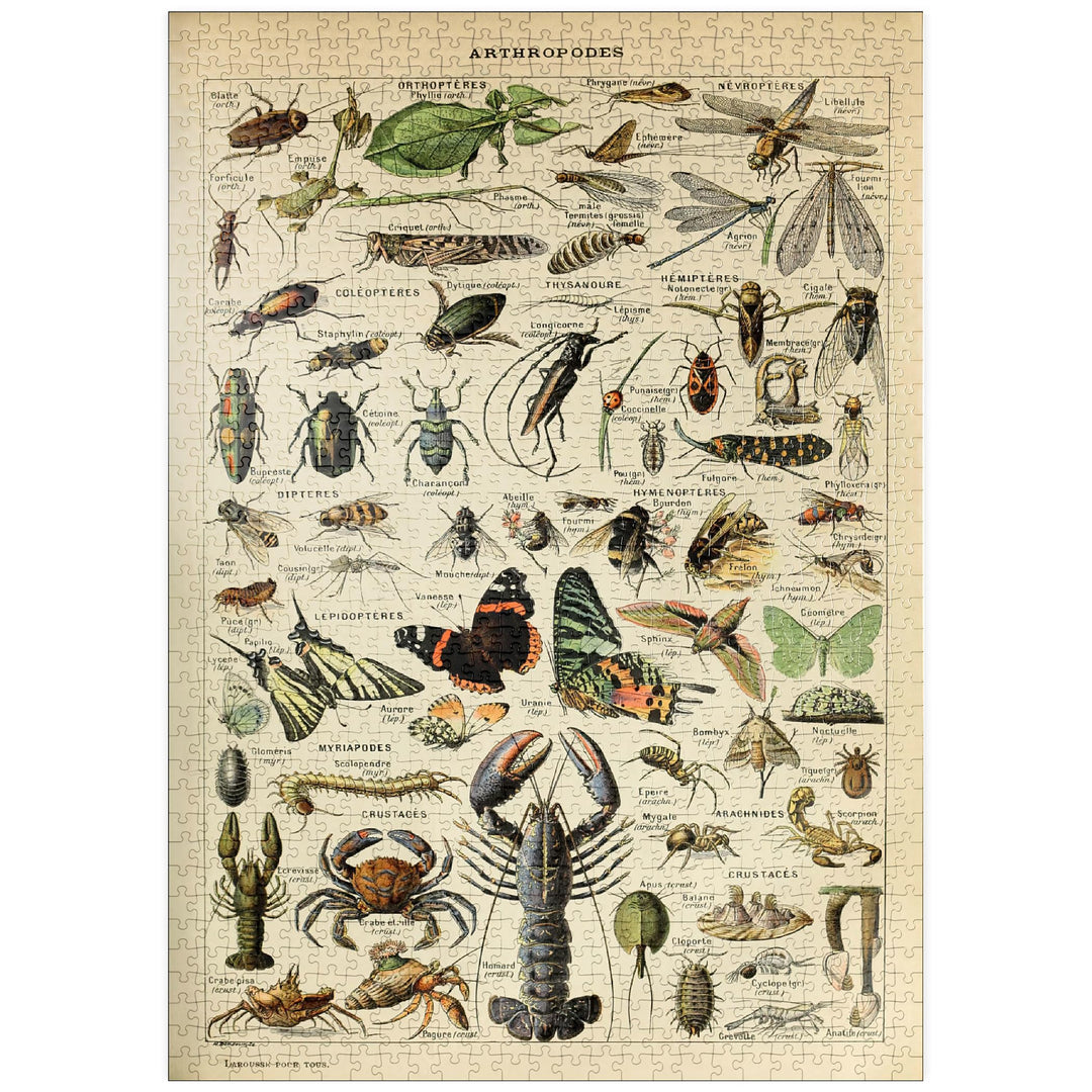 Gliederfüsser für alle, Vintage Art Poster, Adolphe Millot - Premium 1000 Teile Puzzle - MyPuzzle So