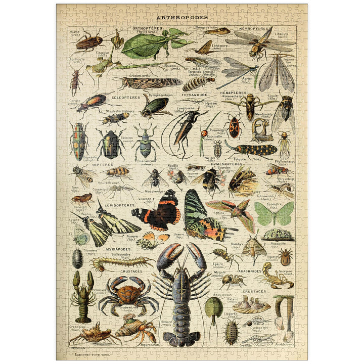 Gliederfüsser für alle, Vintage Art Poster, Adolphe Millot - Premium 1000 Teile Puzzle - MyPuzzle So