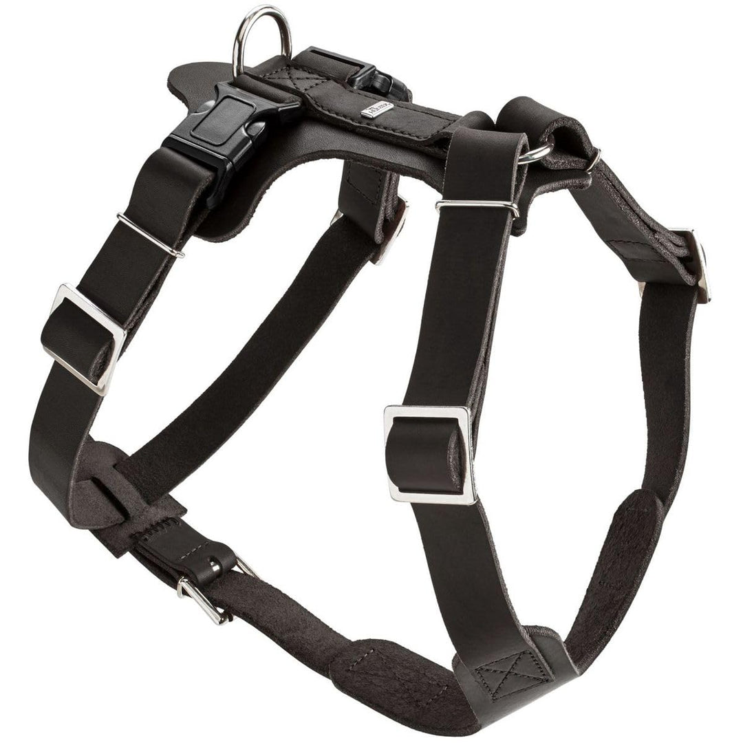HUNTER Aalborg Hundegeschirr, Leder, M-L/2, schwarz schwarz M-L/2, schwarz M-L/2
