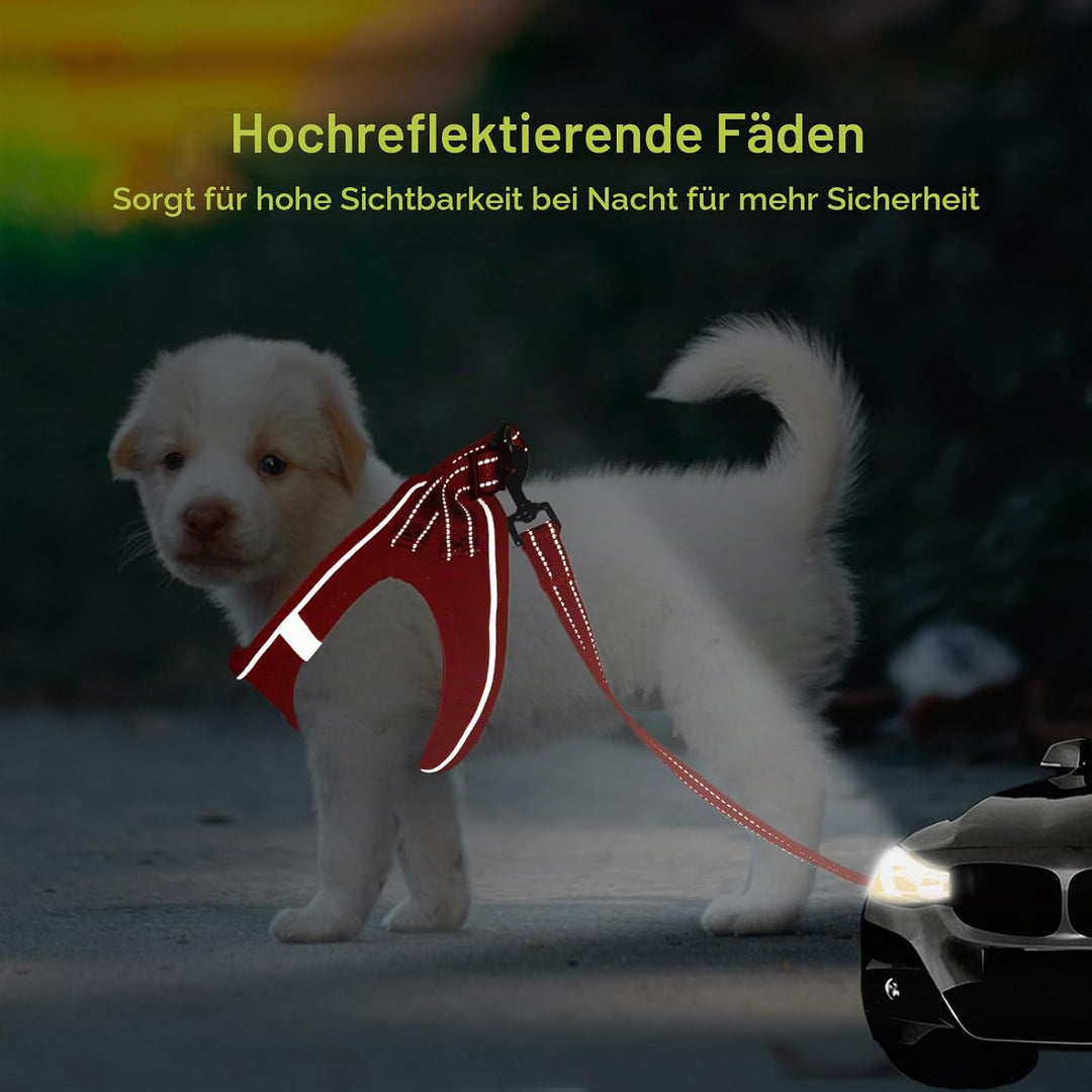 BELLA &amp; PAL Hundegeschirr Kleine Hunde mit Leine, Step-in Geschirr aus Air Mesh, Anti Zug Reflektier