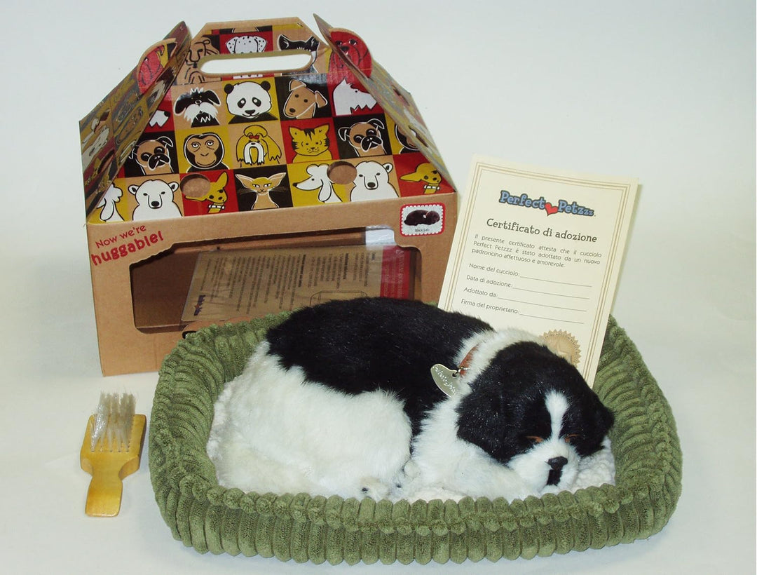 Hundewelpe Border Collie, der richtig atmet The Breathing Puppy