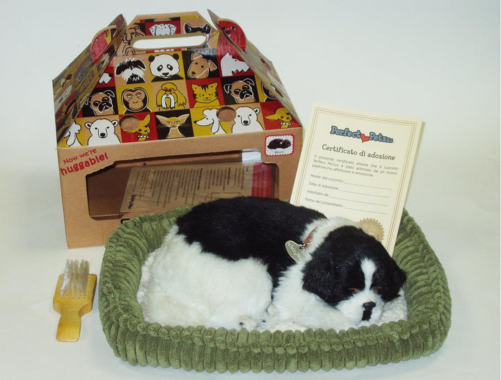 Hundewelpe Border Collie, der richtig atmet The Breathing Puppy