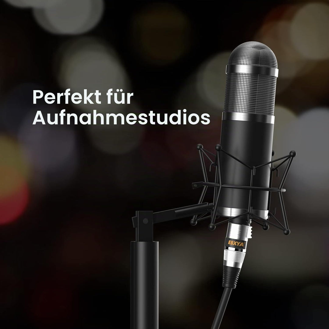 EBXYA Mikrofonkabel XLR Kabel DMX Kabel 2er-Pack 3M, Symmetrisches Audiokabel Stecker auf Buchse für
