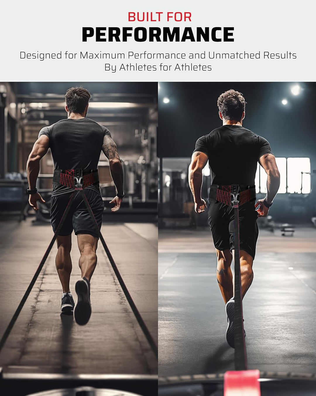 THEFITGUY Gürtel für Ziehen, Krafttraining, verstellbarer Verschluss, 2 Gurte und 4 Haken im Lieferu