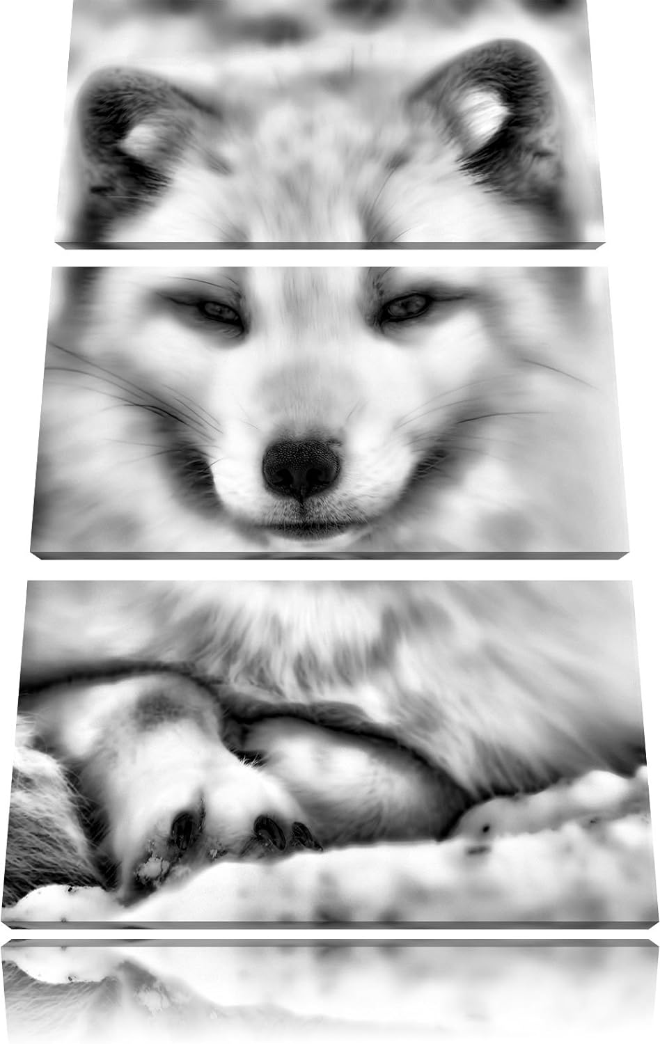 Pixxprint Monocrome, Weisser Fuchs 3-Teiler Leinwandbild 120x80 Bild auf Leinwand