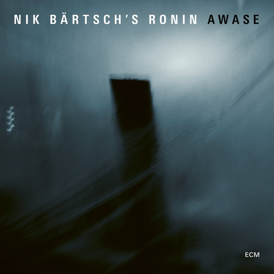 Awase [Vinyl LP], Vinyl