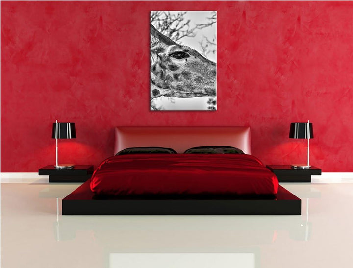 Pixxprint anmutige Giraffe isst als Leinwandbild/Grösse: 100x70 / Wandbild/Kunstdruck/fertig bespann