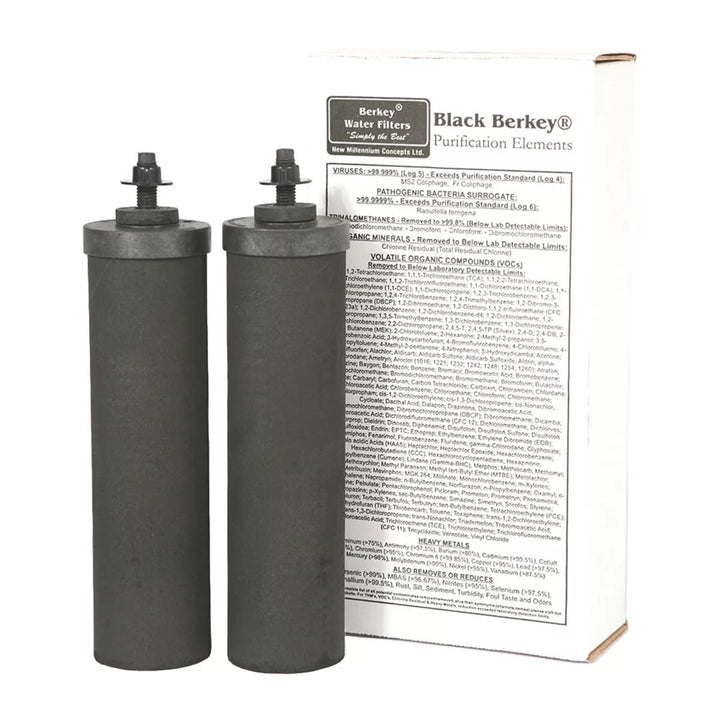 Berkey BK4X2-BB Big Berkey Stainless Steel Water Filtration System with 2 Black Filter Elements by