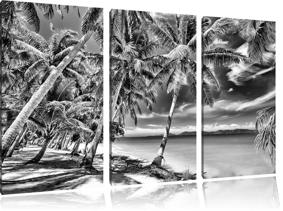 Pixxprint Palmen Traumstrand als Leinwandbild/Grösse: 3 Teilig (120x80) cm/Wandbild/Kunstdruck/ferti