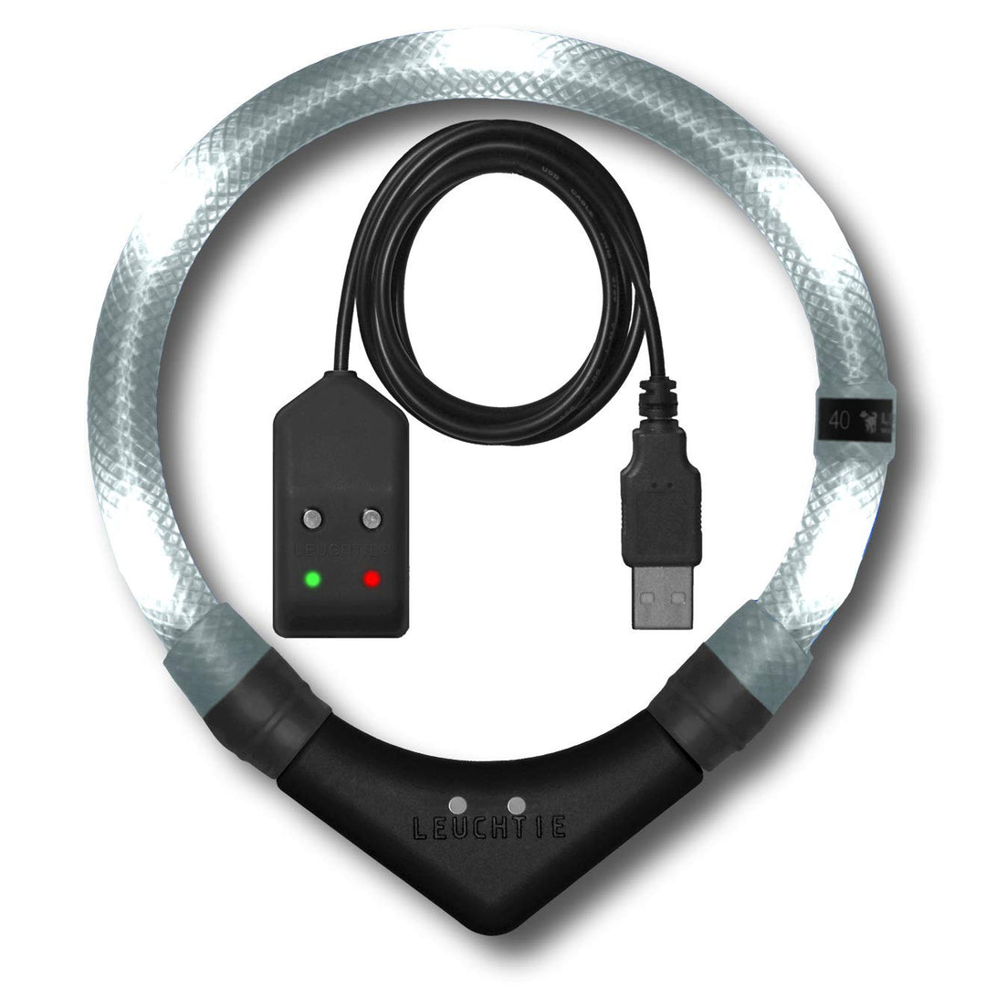 LEUCHTIE® Easy Charge Leuchthalsband Hund aufladbar, wasserdichtes LED Halsband, Leuchtband für Hund