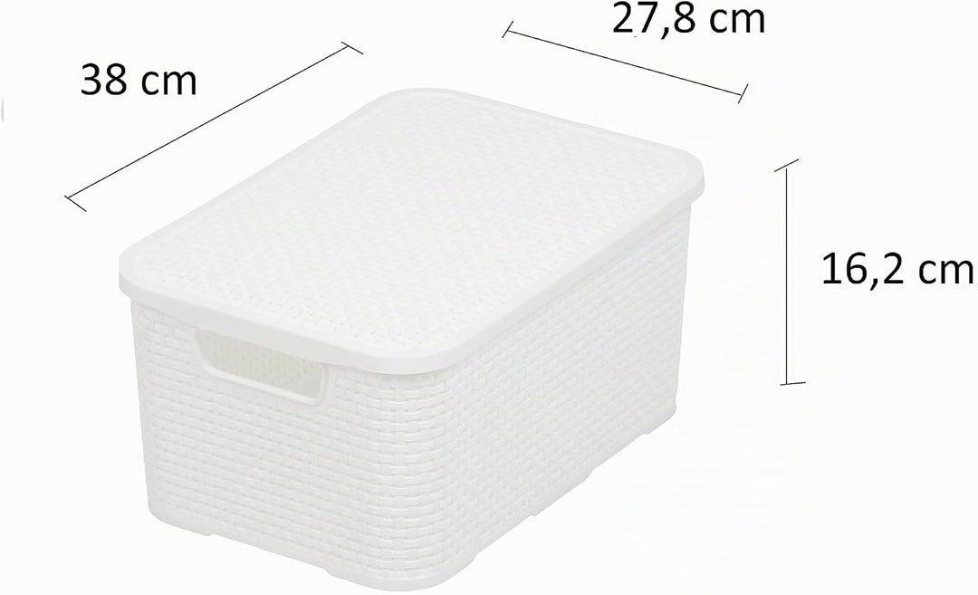 BranQ - Home essential Korb mit Deckel in Rattan Design 2er Set Grösse M 19 l, BPA-frei Kunststoff P