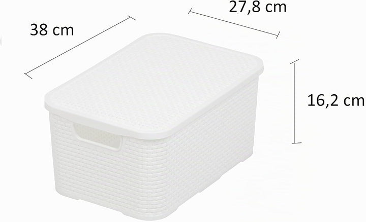 BranQ - Home essential Korb mit Deckel in Rattan Design 2er Set Grösse M 19 l, BPA-frei Kunststoff P