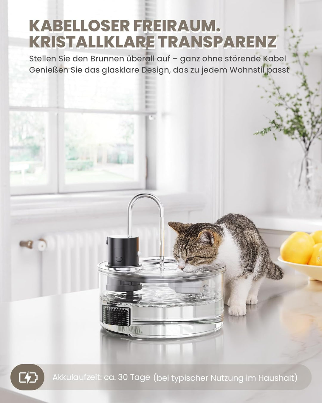 Tomxcute Trinkbrunnen für Katze Kabellos 3,2L, Katzenbrunnen Glas mit Bewegungsmelder, 5000mAh Wiede