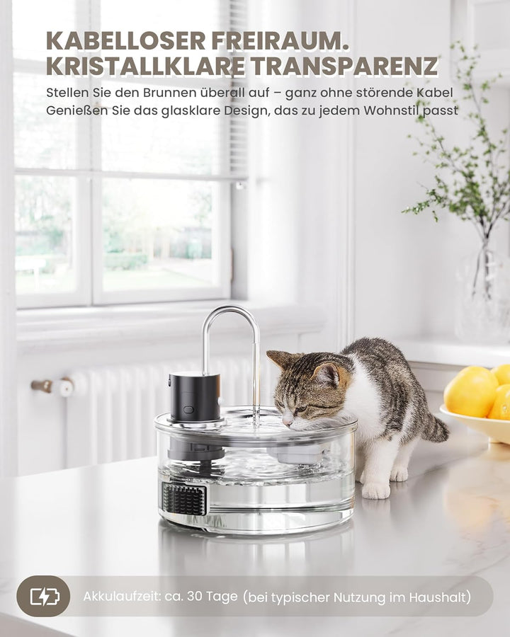 Tomxcute Trinkbrunnen für Katze Kabellos 3,2L, Katzenbrunnen Glas mit Bewegungsmelder, 5000mAh Wiede