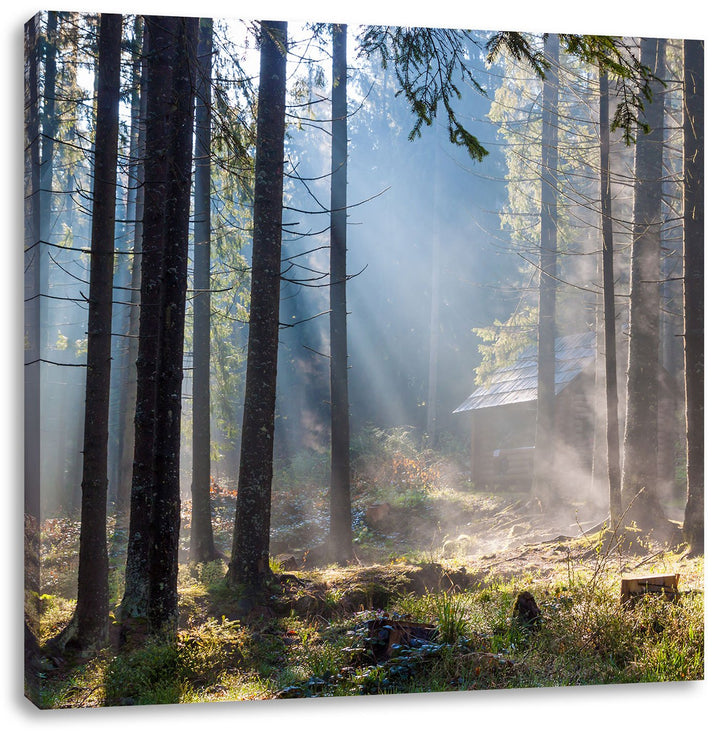 Sonnenstrahlen im Wald, Format: 70x70 auf Leinwand, XXL riesige Bilder fertig gerahmt mit Keilrahmen