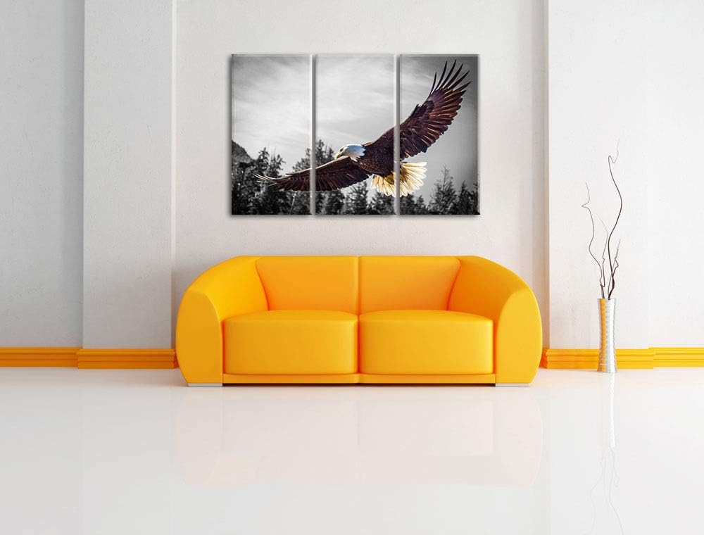 Pixxprint grosser Fliegender Adler als Leinwandbild | Grösse: 3 Teilig (120x80) | Wandbild| Kunstdru