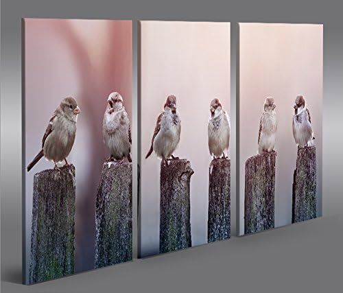 islandburner Bild Bilder auf Leinwand Birds Vögel Spatz auf Holzsteg 3p XXL Poster Leinwandbild Wand